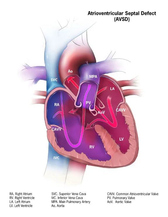hình ảnh lá cờ việt nam, hình 30