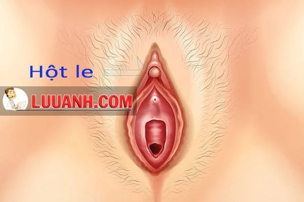sex là j — ảnh 99