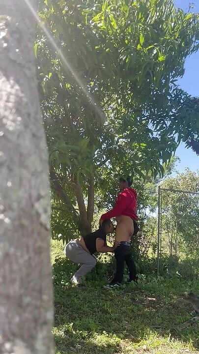 sex vét máng - mẫu 65