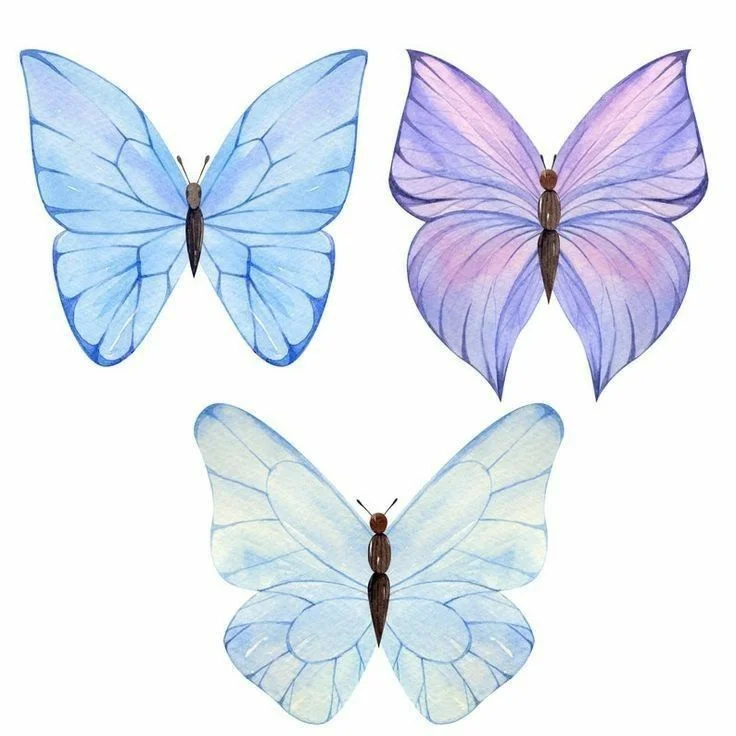 Tranh vẽ con bướm đẹp (3)