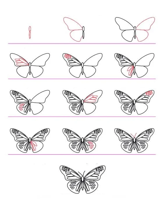 cách vẽ hình con bướm