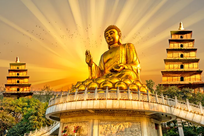 Tượng phật vàng rực rỡ giữa không gian bình an