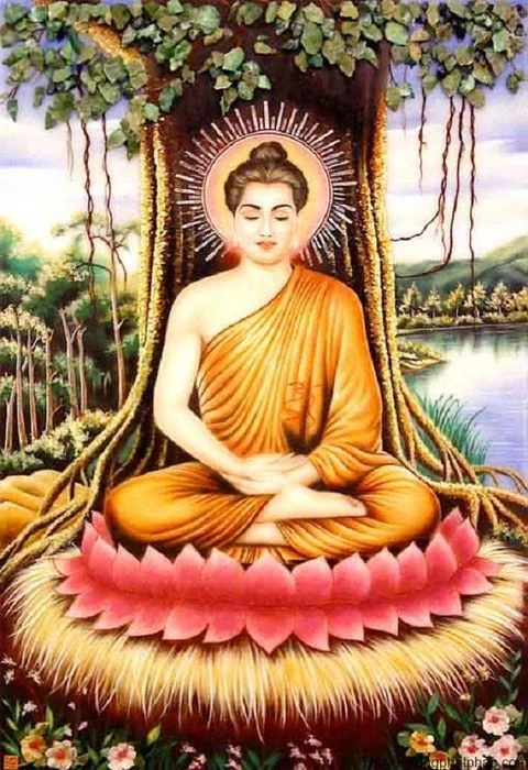 hình ảnh phật bình an ngồi thiền dưới gốc cây bồ đề