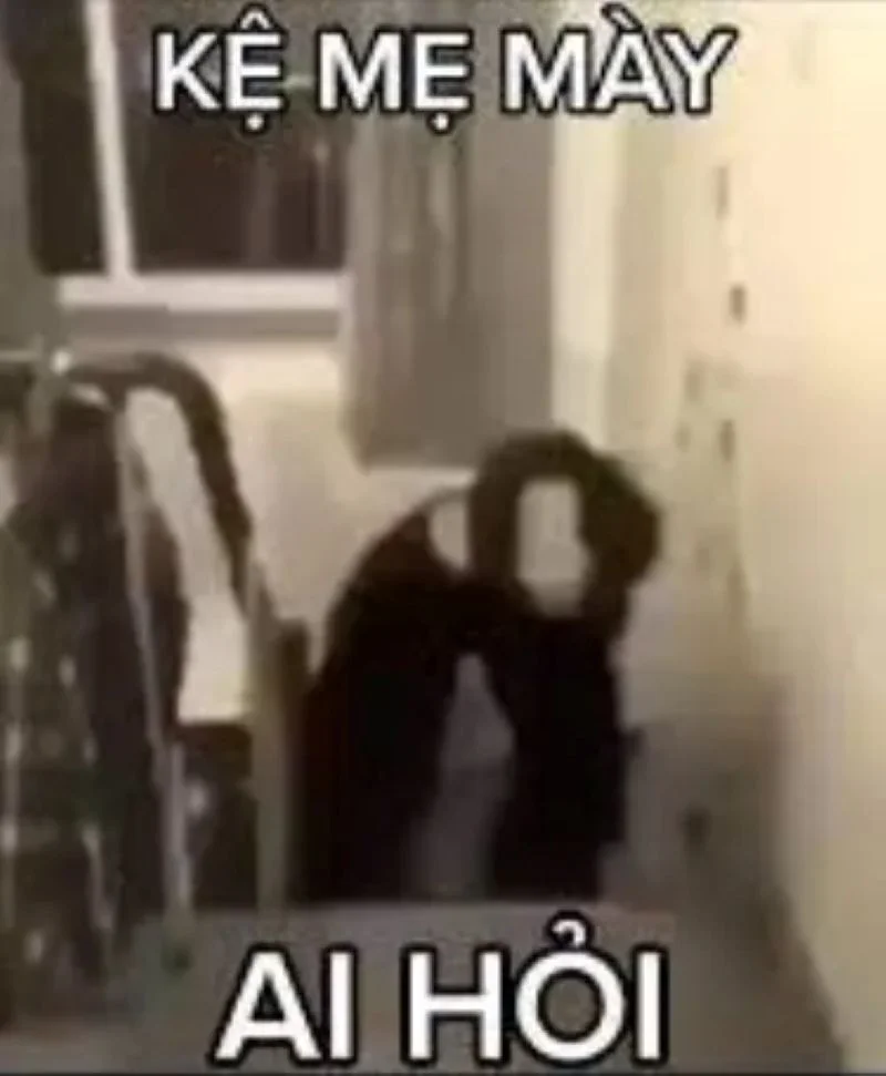meme ai hỏi dành cho hội cà khịa