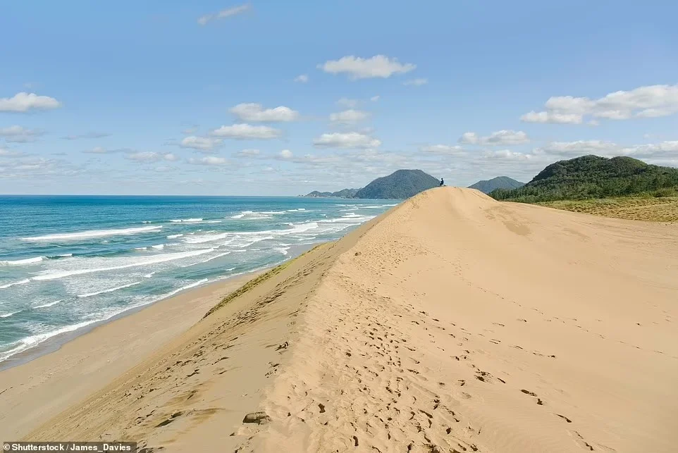 Đồi cát Tottori giống như một sân chơi bằng cát khổng lồ, với lạc đà, dù lượn, trượt cát. Tại đây bạn còn có cơ hội xem một số tác phẩm nghệ thuật bằng cát ấn