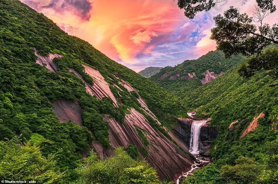 Công viên quốc gia Yakushima nằm trên một hòn đảo ngoài khơi bờ biển phía nam Nhật Bản, nổi tiếng với cây tuyết tùng cổ thụ và thác Senpiro no taki cao 60m