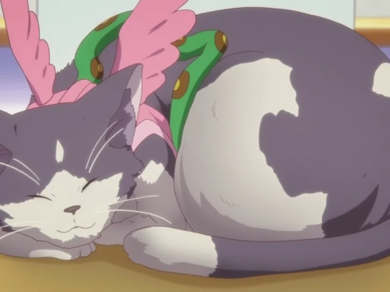Hình chú mèo cute anime