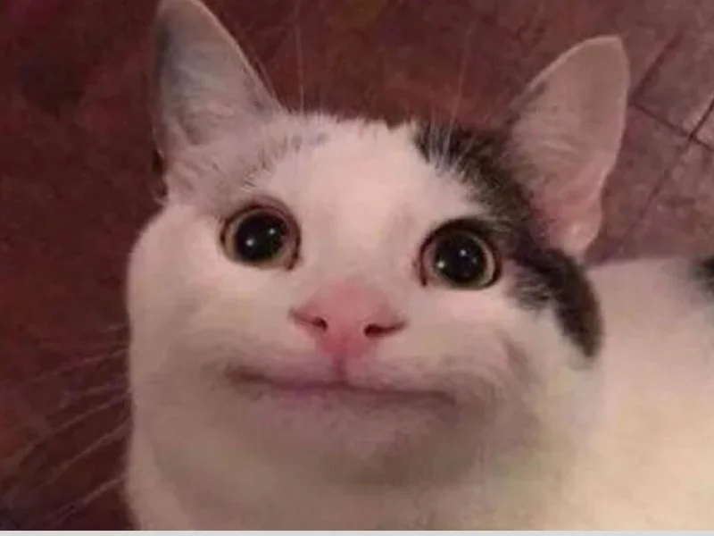 Bộ sưu tập ảnh meme khinh bỉ hài hước và độc đáo nhất