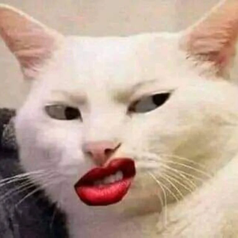 Con mèo làm meme biểu cảm khinh bỉ với đôi môi đỏ