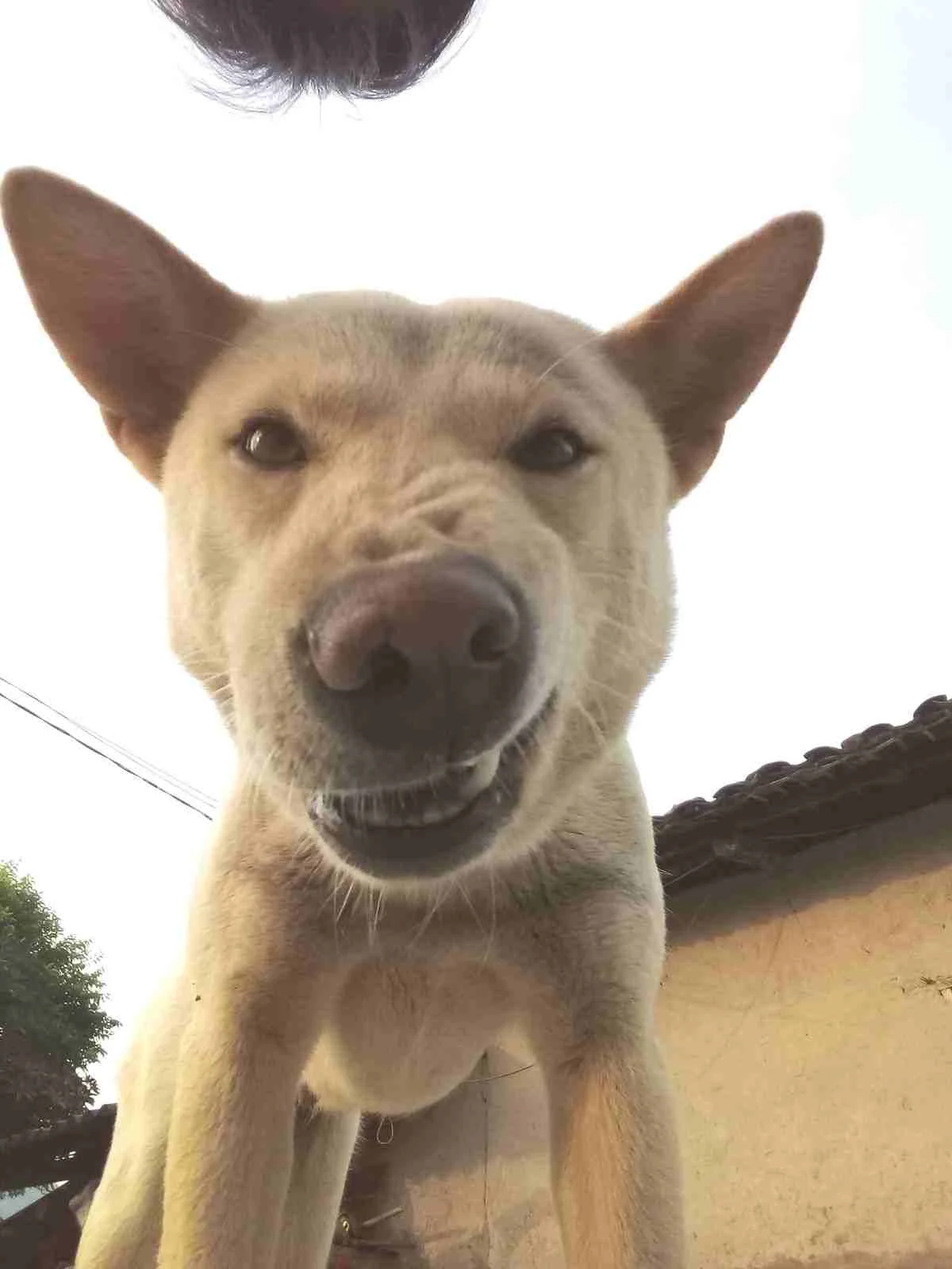 220+ Meme Khinh Bỉ Cực Gắt Dành Cho Những Pha Cạn Lời - Thưởng Thức Âm Nhạc Hello - Trung Tâm Hello