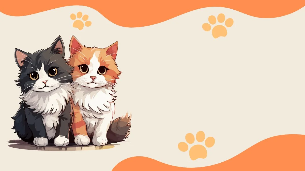 hình nền powerpoint hai chú mèo dễ thương