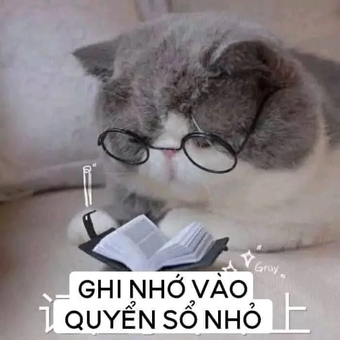 Ghi chép ghi chép
