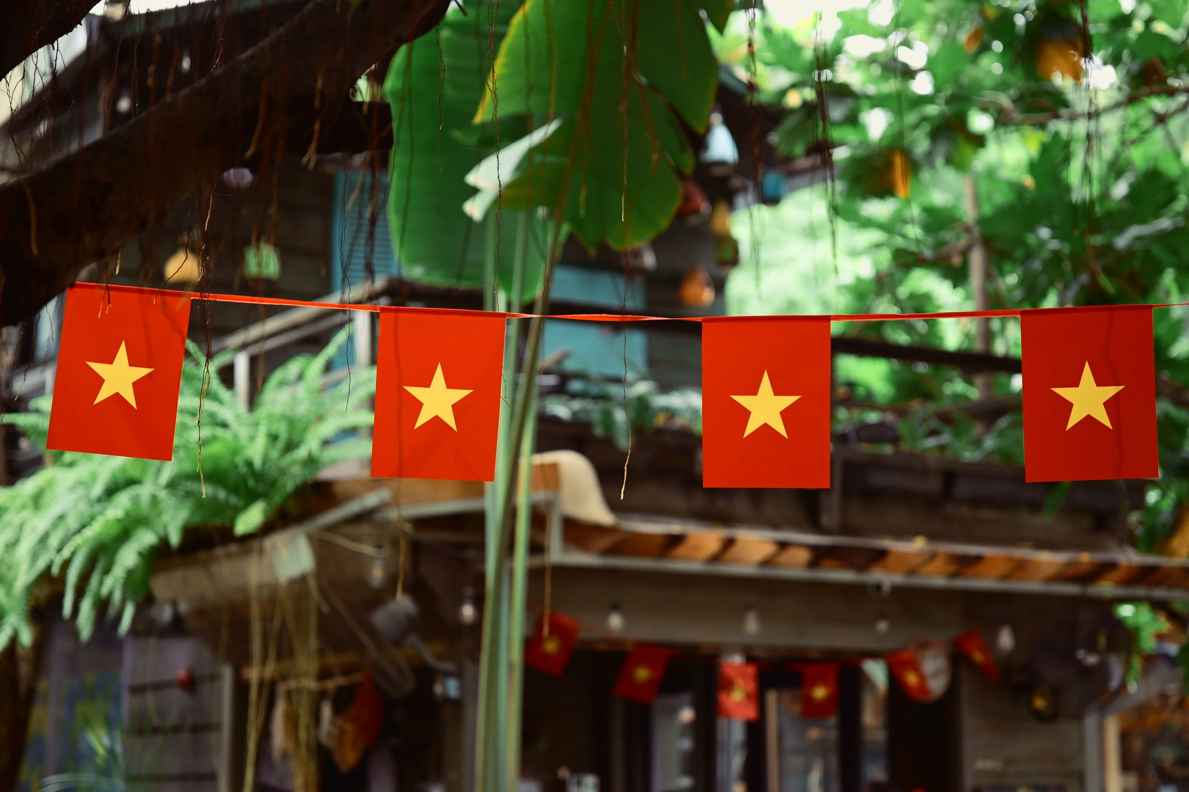 Dãy cờ Việt Nam treo trang trí trong không gian xanh