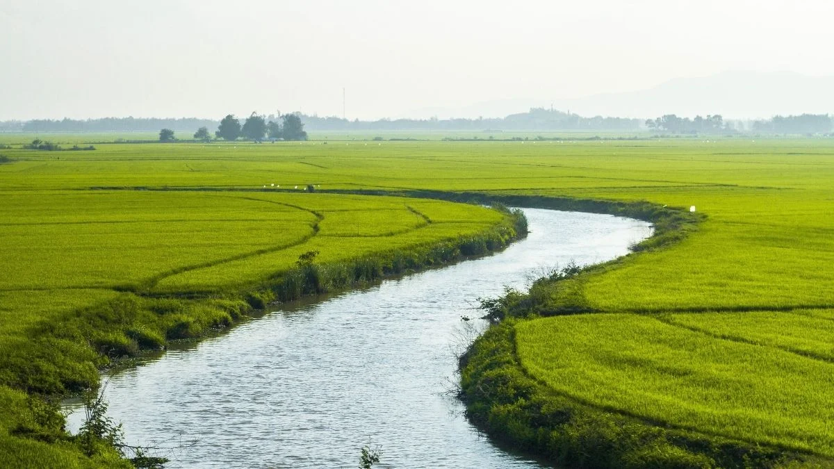 Hình ảnh quê hương con sông Việt Nam