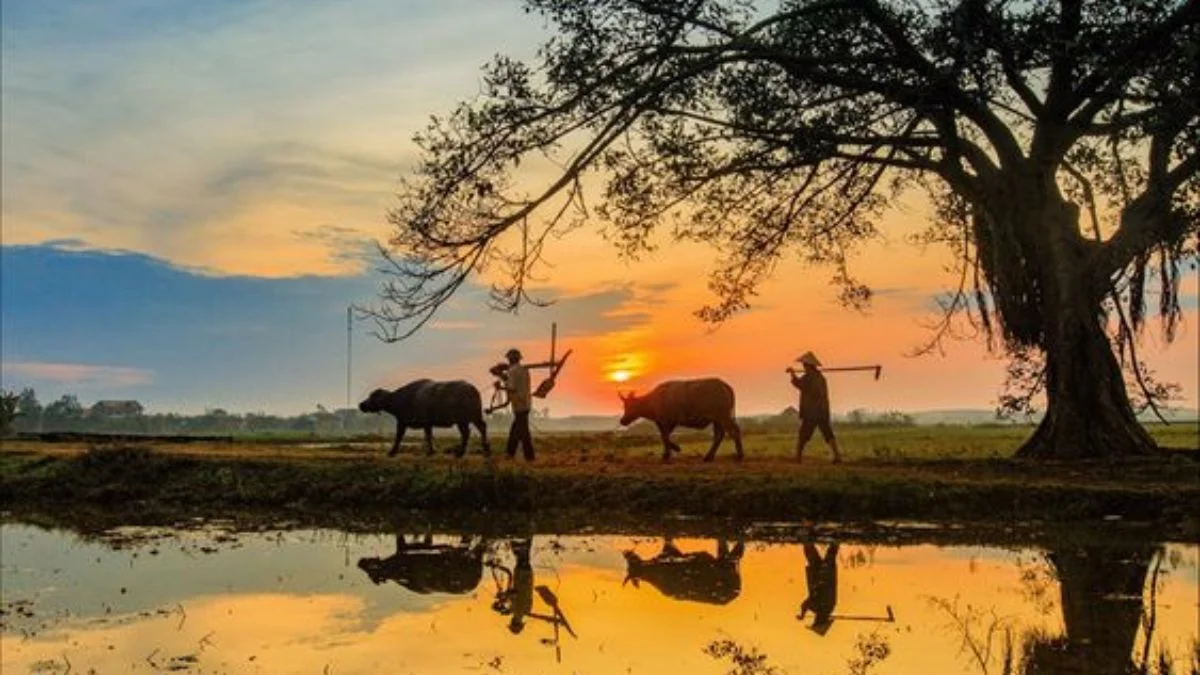 hình ảnh tuổi thơ Việt Nam