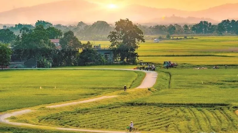 Những hình ảnh quê hương khiến bạn thêm yêu Việt Nam - hình 15