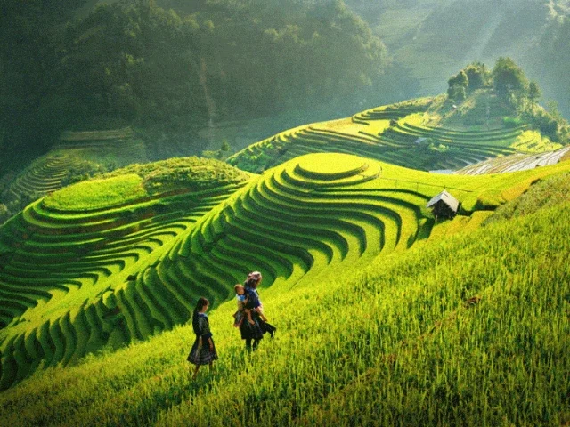 Tải ngay 111 hình ảnh quê hương tươi đẹp cho "dế cưng"